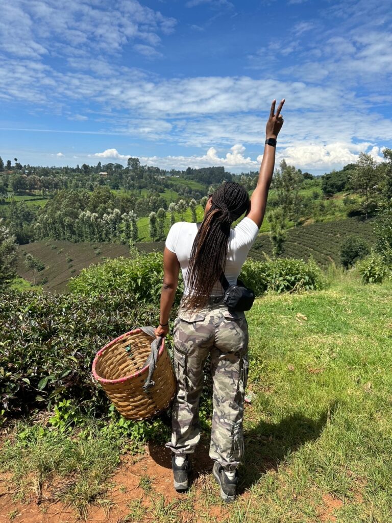 Nairobi visual data 3