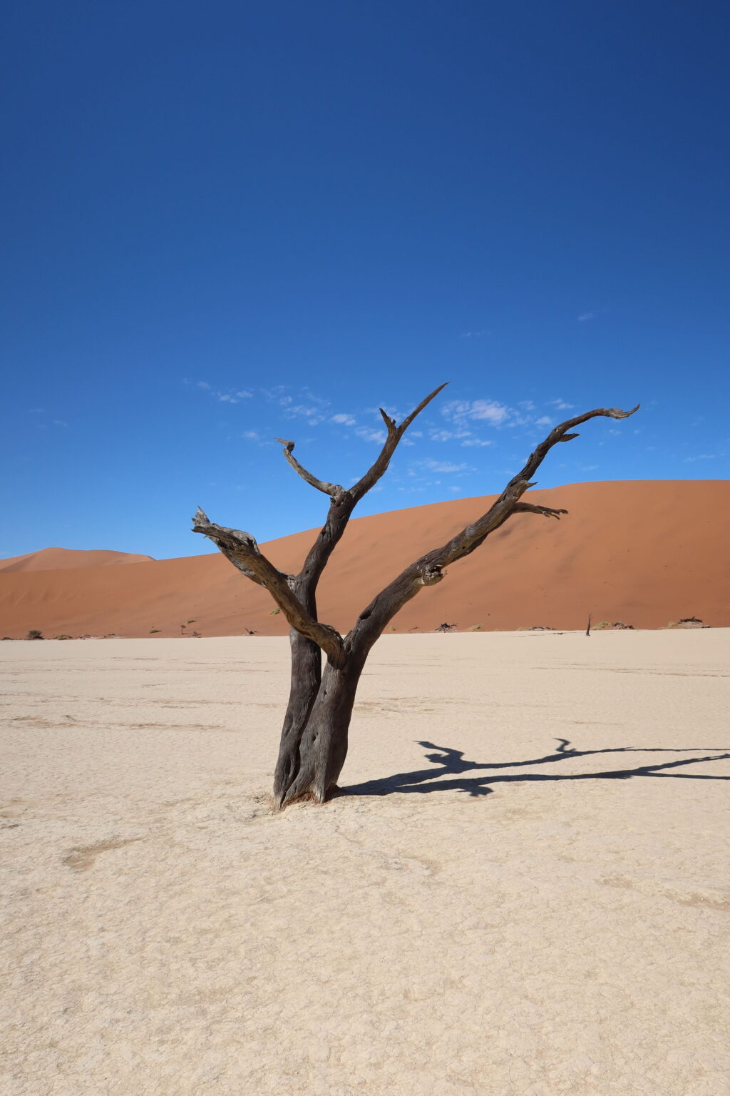 Namibian Adventures: A 5-Day Journey through Extraordinary Landscapes 